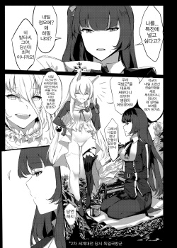 (FF33) [史本] HK416 Project (Girls' Frontline) [Korean] [Sample] page 2