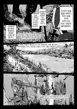 (FF33) [史本] HK416 Project (Girls' Frontline) [Korean] [Sample] page 3