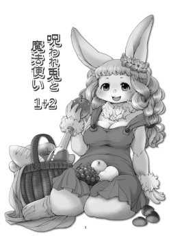 [Noraya (Setouchi Kurage)] Noroware Usagi to Mahoutsukai 1+2 [Digital] page 2