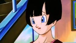 Videl