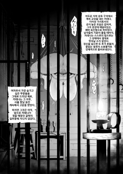 [Sevengar] Toraware no Onna Kishi, Kairaku Nku Ningyou ni Sareru | 사로잡힌 여기사, 쾌락 육인형이 되다 [Korean] page 9