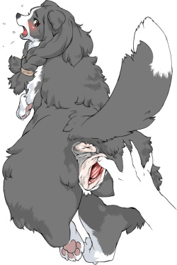 nezumin 's furry/bestiality collection +α page 6