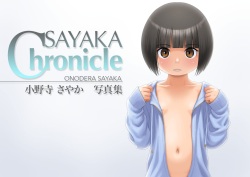 Flatcheez 2 - Sayaka Chronicle