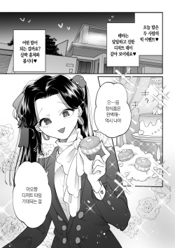 [Teriyaki Sasami Donburi (Teriyaki Sasami)] Dessert Time Pink Blue | 디저트 타임 핑크블루 [Korean] [팀☆데레마스] page 3