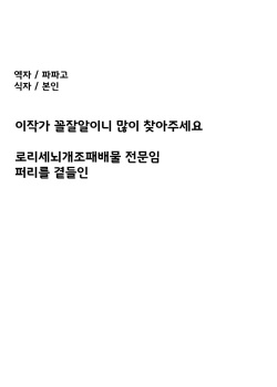 세뇌즉각타락 래빗룰러 page 5