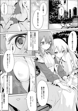 [Zanka] Dokodemo Maid-san o Yuuwaku Suru Ojou-sama page 2