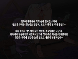 [MJN] ソフィーヤ肛門調教 [Korean] page 2