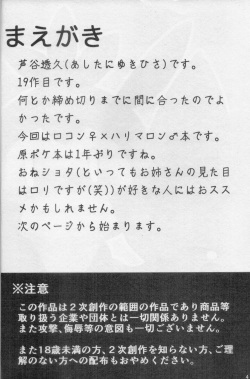 (C96) [BEart (Ashitani Yukihisa)] Onee-san to Ii Koto Shiyo(Pokémon) page 3