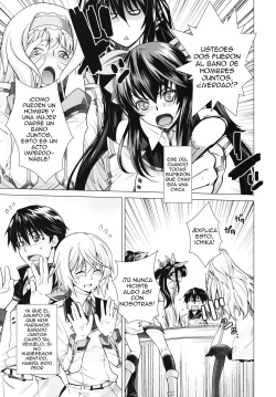 (C81) [Kouchaya (Ootsuka Kotora)] LOVE SLAVE (Infinite Stratos) [Spanish] [TheSilverLine] page 6