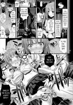 [Steel Mayonnaise (Higuchi Isami)] Niku Miko no Utage Yon ~Houkou no Bakubou~ | 육무녀의 연회 넷 [Korean] [Decensored] page 5