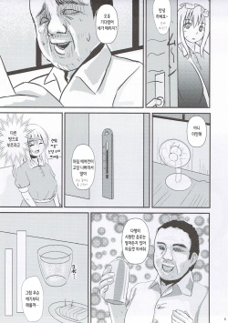 (Kyoukai kara Mieta Keshiki -Meguru-) [CrowView (Taji)] Hifuu Saigo no Hi | 비봉 최후의 날 (Touhou Project) [Korean] page 5
