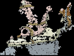 Augustine Animations Updated page 3