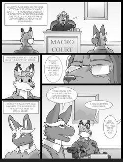 Macro Court