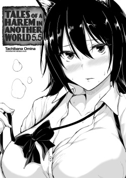 ISEKAI HAREM MONOGATARI - CAPÍTULOS EXTRAS (4 - 5) page 9
