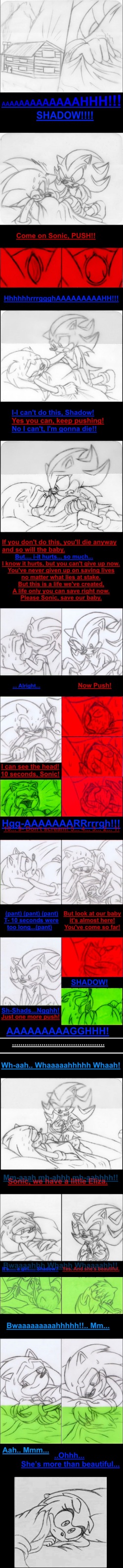 Little Hedgehogs [PixTV] page 2