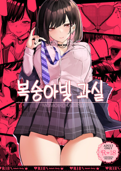 Momoiro Kajitsu | 복숭아빛 과실