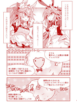 (C97) [ULOG'Be (NEGI)] Doubutsu Maid Battle (Fate/Grand Order) [Sample] page 2
