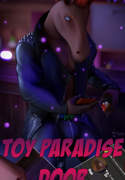 Toy paradise door