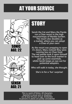 [Senshion] At Your Service (Sonic The Hedgehog) page 2
