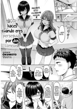 Nitoni Owarerya Dosureba!? || ¿¡Qué haces cuando eres perseguido por dos conejas!?