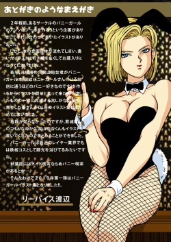 Dragon Ball - [Liveis Watanabe] Kanpai to Android 18 and Bulma in bunny costume page 2
